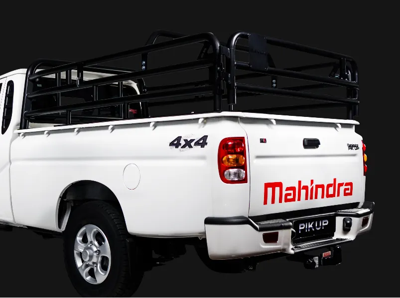 SINGLE CAB CATTLE RAIL