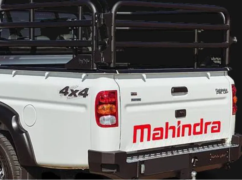 DOUBLE CAB CATTLE RAIL