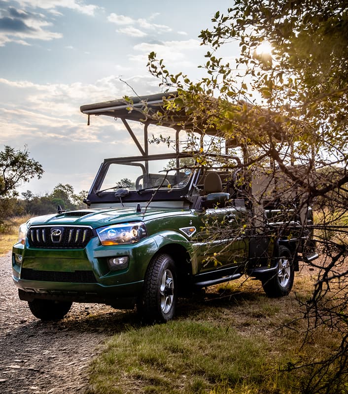 S4 Game Viewer — Bushveld game drive