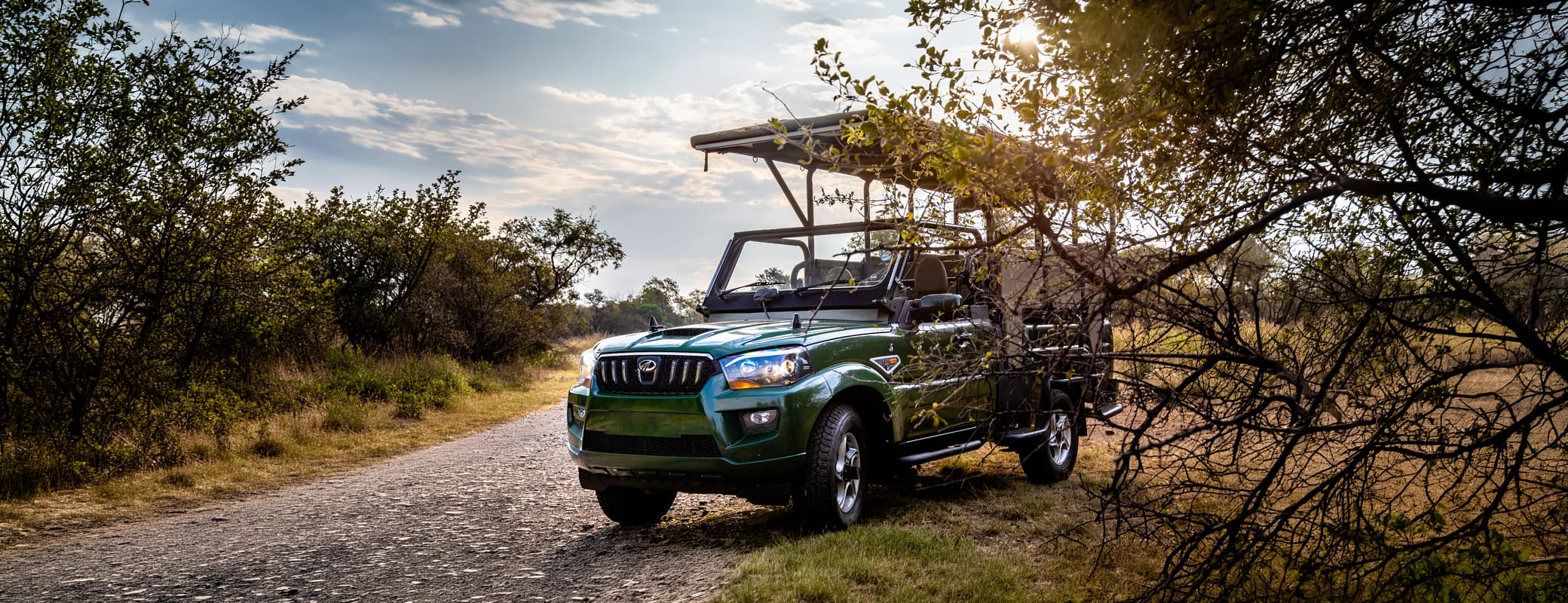 S4 Game Viewer — Bushveld game drive
