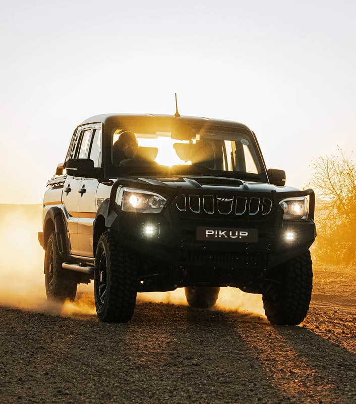 Karoo Dusk — Side profile