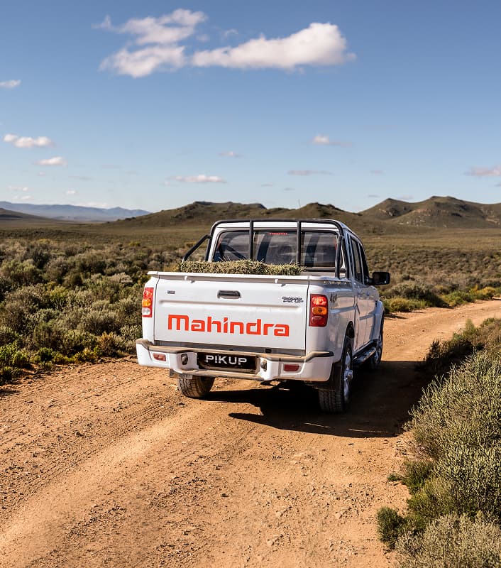 Pik Up Double Cab — Rear stance
