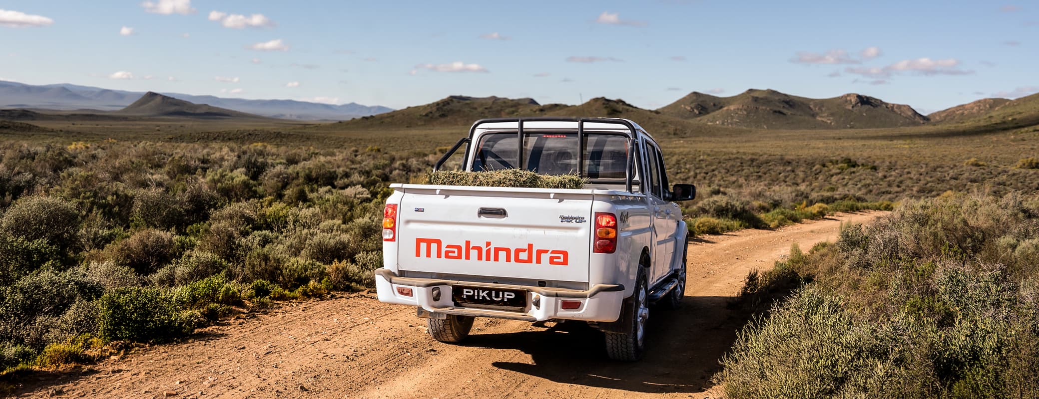 Pik Up Double Cab — Rear stance