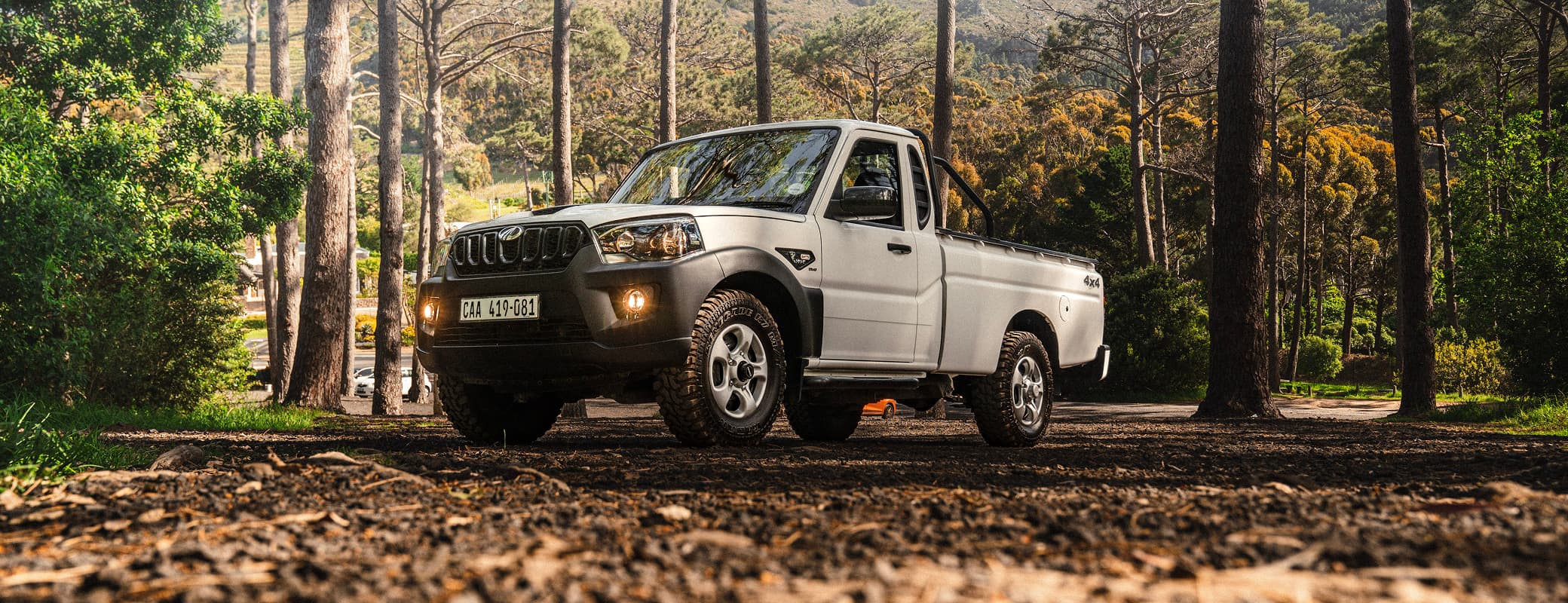 Pik Up Single Cab — Rear stance