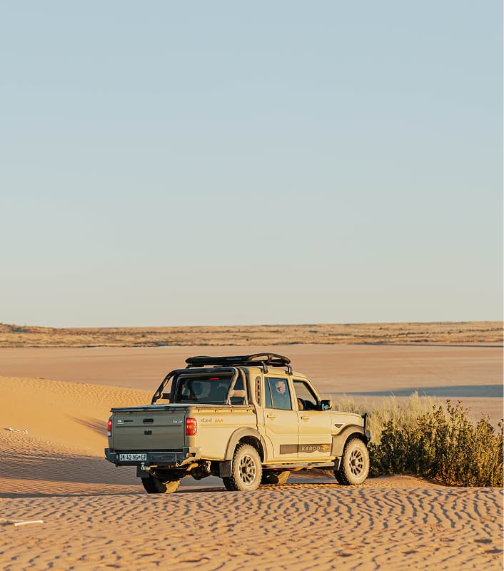 Karoo Dawn — Side profile