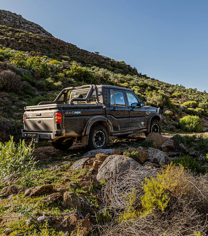 Karoo Dusk — Rear stance